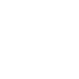 FPV by US logo